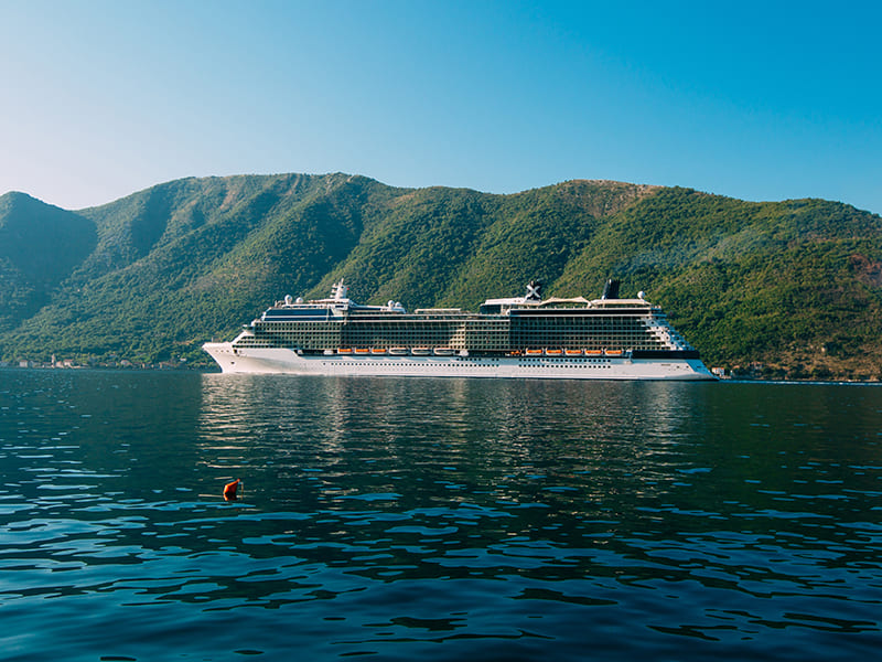 North America Cruises